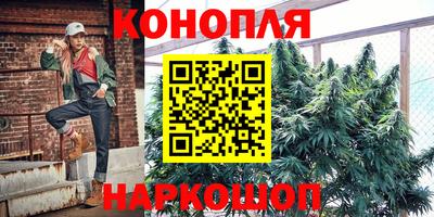 Альфа ПВП Бердск