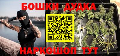 Альфа ПВП Бердск