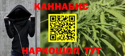 Альфа ПВП Бердск
