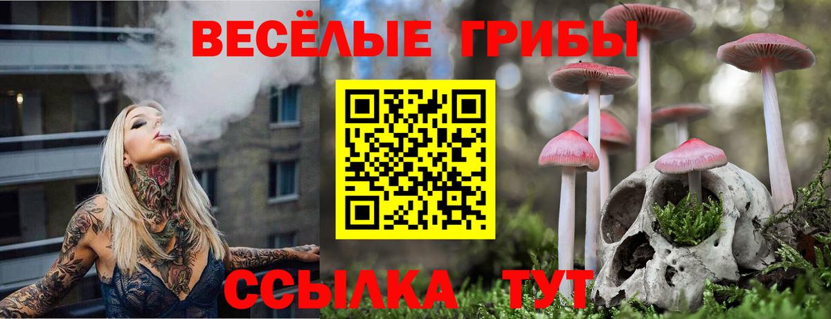 Бугуруслан  Галлюциногенные грибы Magic Shrooms  Вход с VPN 